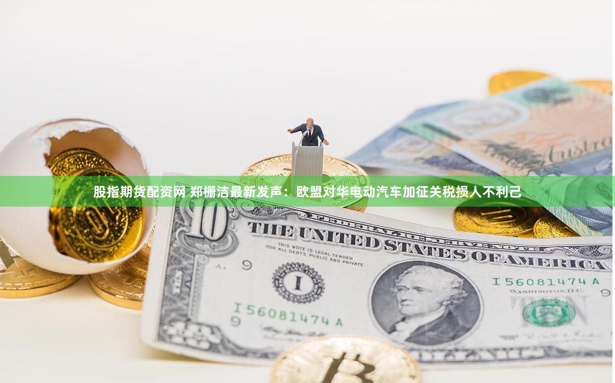 股指期货配资网 郑栅洁最新发声：欧盟对华电动汽车加征关税损人不利己
